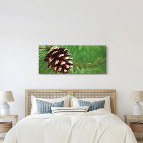Tablou cu con (120x50 cm)