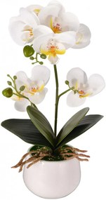 Floare artificiala Phalaenopsis Asvert, plastic/portelan, alb/verde, 10 x 10 x 35 cm