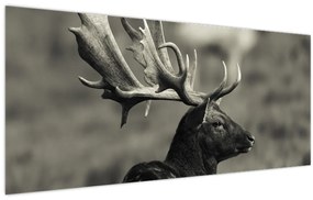 Tablou - Cerb (120x50 cm)