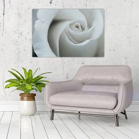 Tablou - Trandafirul alb (90x60 cm)