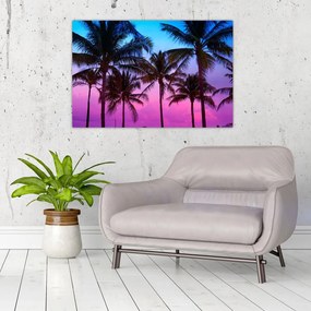 Tablou - Palmieri din Miami (90x60 cm)