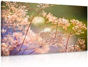 Tablou din flori natura moartă