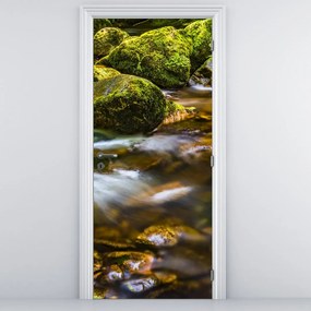 Fototapet pentru ușă - Pârâu (95x205cm)