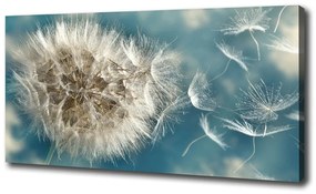 Tablou pe pânză canvas Păpădia
