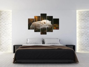 Tablou - Lupul care se odihnește (150x105 cm)