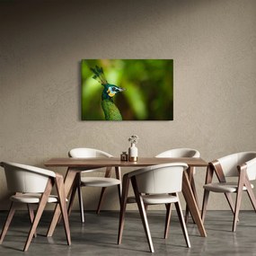Tablou cu păun (90x60 cm)