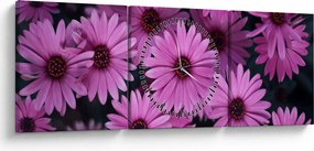 Tablou cu florile roz (cu ceas) (90x30 cm)