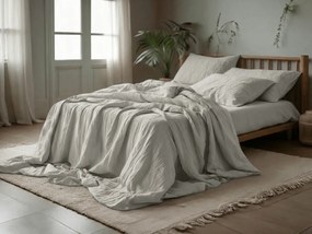 Lenjerie de pat PURELY muselina gri deschis Dimensiunile lenjeriei: 2 ks 80 x 80 cm | 200 x 200 cm