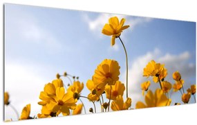 Tablou - Câmp cu flori galben deschis (120x50 cm)