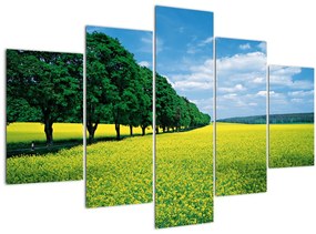 Tablou - Câmp cu alei (150x105 cm)