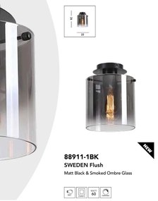 Plafoniera moderna Sweden 1L negru, fumuriu
