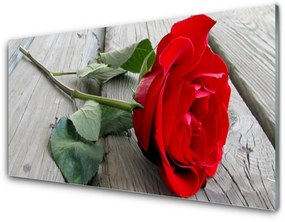 Tablou pe sticla Rose Floral Roșu Verde