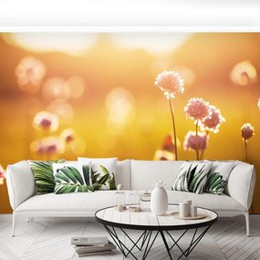 Fototapet Flori roz
