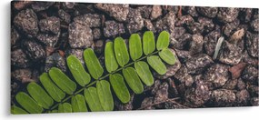 Tablou cu planta verde (120x50 cm)