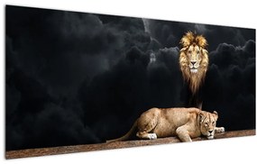 Tablou - Leu și leoaică (120x50 cm)