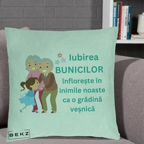 Cadou pentru Bunici - Perna Personalizata Bunicii Iubirea Infloreste cu Nepoata Teal, 40x40 cm, Verde Menta, Husa Detasabila, Perna Inclusa, BEKZ®