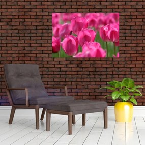 Tablou - Lalele roz (90x60 cm)