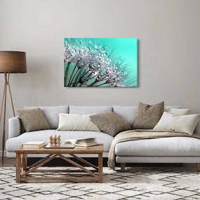 Tablou - planta cu rouă (90x60 cm)