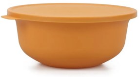 Caserole 4 buc. pentru mâncare – Hermia