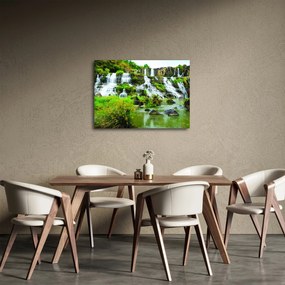 Tablou - cascade cu plante (70x50 cm)