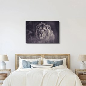 Tablou cu leu (90x60 cm)