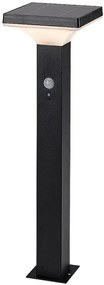 Lampa solara cu senzor de miscare, IP44 Geleen H-50cm