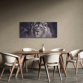 Tablou cu leu (120x50 cm)