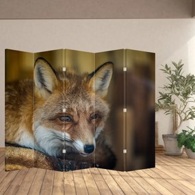 Paravan - Vulpe (210x170 cm)