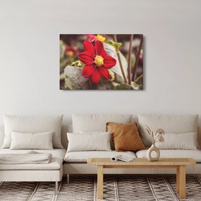 Tablou cu floare (90x60 cm)