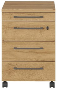 Dulap gri antracit cu aspect de lemn de stejar 42x61 cm Agenda – Germania