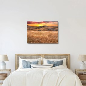 Tablou cu câmp (70x50 cm)