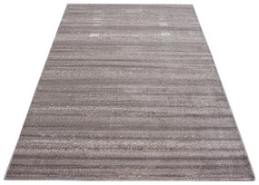 Covor bej 160x230 cm Plus – Ayyildiz Carpets