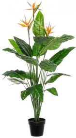 Planta artificiala decorativa STERLITZIA, H-150cm