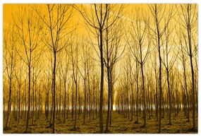 Tablou cu pădure în apus de soare (90x60 cm)