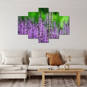 Tablou cu flori de luncă violete (150x105 cm)