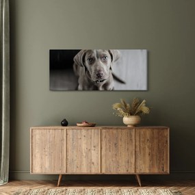 Tablou cu cățeluș (120x50 cm)