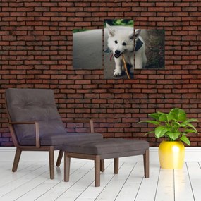 Tablou cu câinele alb (90x60 cm)