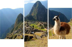 Tablou - Lama și Machu Picchu (90x60 cm)