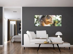 Tablou cu veverița (120x50 cm)
