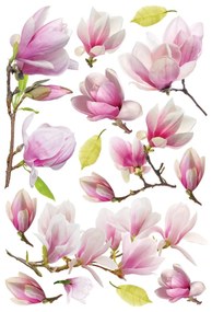 Decorațiune autoadezivă Magnolia Flowers, 42,5 x65 cm