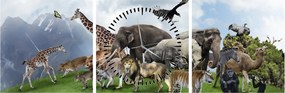 Tablou - Animale pe insulă (cu ceas) (90x30 cm)