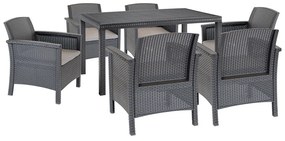 Set mobilier de grădină Venus IV cu 6 locuri, grafit