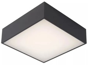 Plafonieră LED pentru baie Lucide 27816/10/29 ROXANE LED/12W/230V IP54