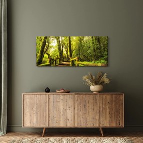 Tablou junglei cu mușchi (120x50 cm)