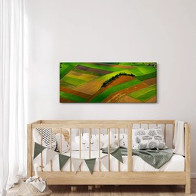 Tablou - Lan, luncile (120x50 cm)