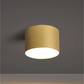 BRILAGI - Plafonieră de exterior FORIS LED/9W/230V Ø 9 cm auriu IP44