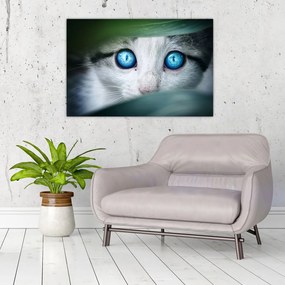 Tablou cu pisica (90x60 cm)