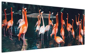 Tablou - turmă de flamingo (120x50 cm), în 40 de alte dimensiuni noi