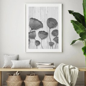 Poster - Floras (A4)