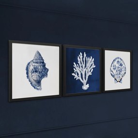 Tablou 30x30 cm Sea Treasure – Styler